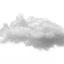 sharkedrona's profile picture. 