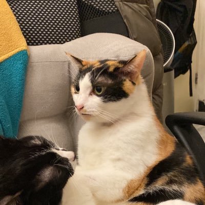 exist02593's profile picture. Startup x Investment x Tech