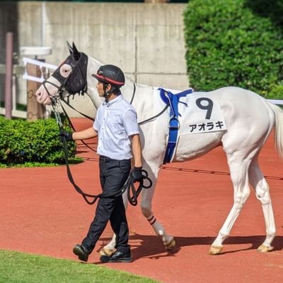 趣味用です⁰▿⁰🐴

競馬🐎／🐧！