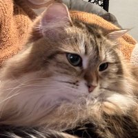 まっつん (@iam_mattsun) 's Twitter Profile