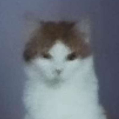 anniさんのプロフィール画像
