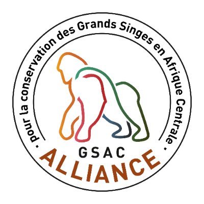 L’Alliance GSAC est un réseau africain constitué actuellement de 8 OSC membres, œuvrant dans la conservation communautaire des grands singes du Bassin du Congo.