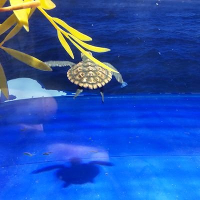 arinnko0005's profile picture. 