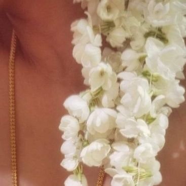 sudha39456265's profile picture. 