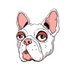 JunkYard Dogs 🦴 (@junkyarddogsnft) Twitter profile photo JunkYard Dogs 🦴 (@junkyarddogsnft) Twitter profile photo