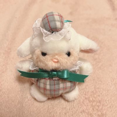 おにんぎょうアカウント🧸 無言フォロー いいね RTしちゃってごめんなさい!