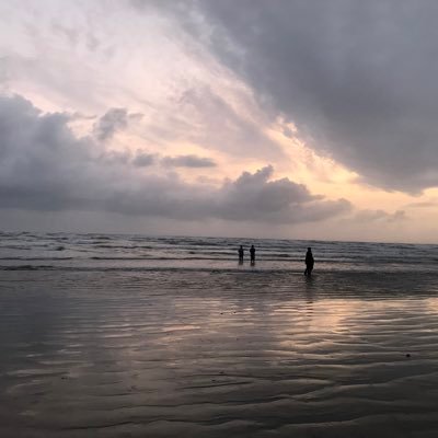 DiGillani8's profile picture. 