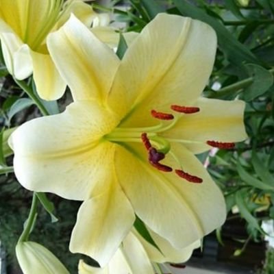 Brown96480679's profile picture. 