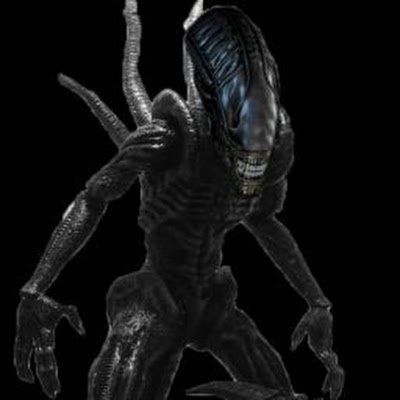 Dragongamer3000's profile picture. 