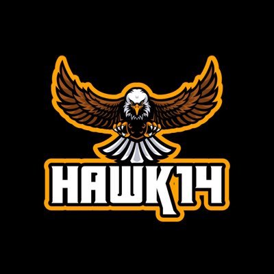 HAWK14_yt Profile Picture