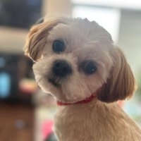 π¨π¦ Jane Bailie π¨π¦ πΆ πΎ π (@ladjne) 's Twitter Profile