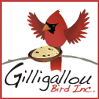 Bob Volks (@gilligalloubird) 's Twitter Profile Photo