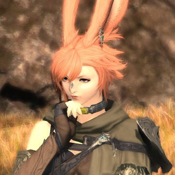 FFXIV Brainwyrms, 28, She/They, 18+
Primal--Famfrit--Eira Ymir
MNK main