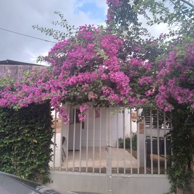 Creio em Jesus Cristo como meu único Salvador. Casada desde 1991, mãe de um casal de filhos, professora do ensino fundamental, votei e voto em Bolsonaro. 💛💚