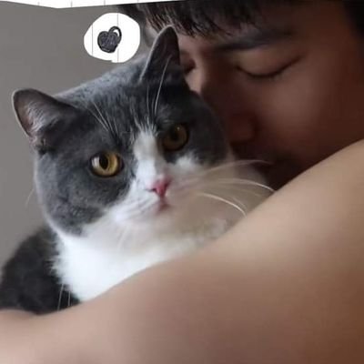 肖莲雾 ..We are made to L-O-V-E ..
หม่าม๊าเจ้ายู พิจ้าน พิน้อนวอร์ พิพีทวสุ พิฟอร์ดเอฟทีเอส

~ความสุขนั้นแสนสามัญ~