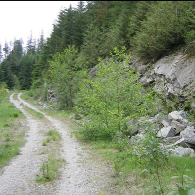 PahariITwala's profile picture. Run and learn with me #Runner #ITGeek #Himachali #Pahari #Tech