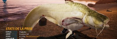 thierrymonsx's profile picture. Bonjour à tous, désolé, je ne recherche pas d'abonnés pour mon twitter ,  ( pas envie de polluer votre mur avec mes nombreux tweet chaque jour ^^)