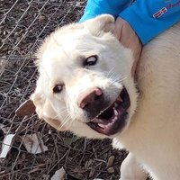 Varju (@juandavarju) 's Twitter Profile