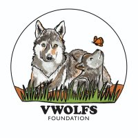 VWOLFS Foundation (@vwolfs_org) 's Twitter Profile