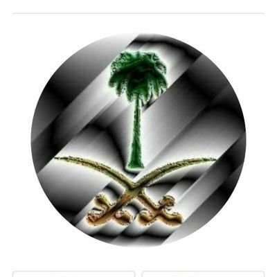 alhassanalhajis's profile picture. 