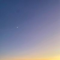 かち (@f_____ragile) 's Twitter Profile