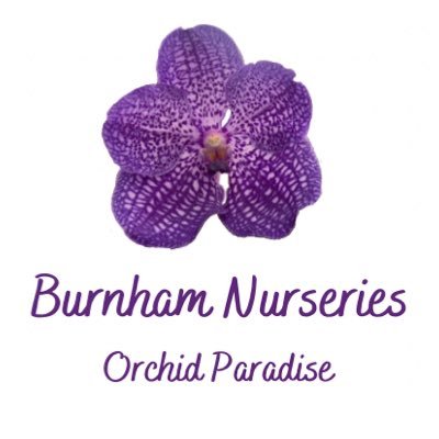 burnhamorchids Profile Picture