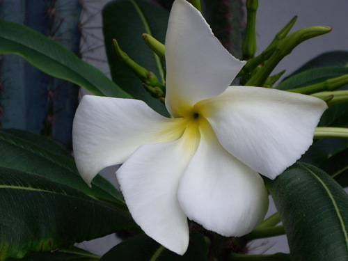 loispery's profile picture. 