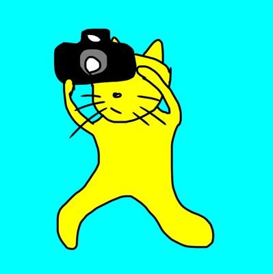 モフくんさんのプロフィール画像