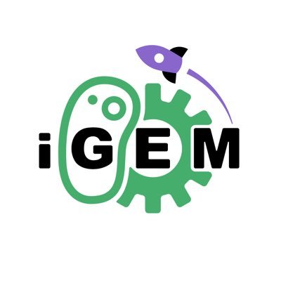 iGEM Startups