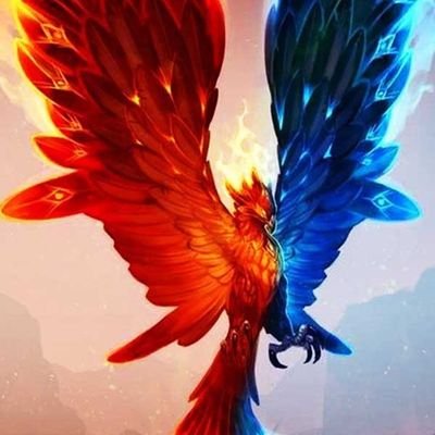 PhoenixTA_'s profile picture. Crypto trader, airdrop hunter and a lot more. ADD+