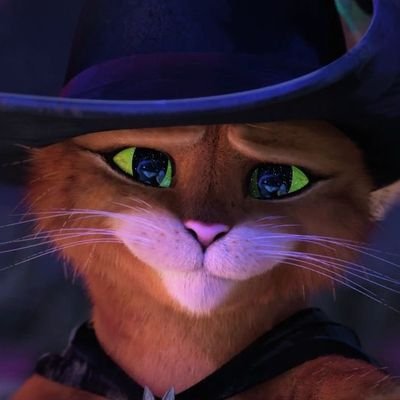 Felipe Fornitaniさんのプロフィール画像