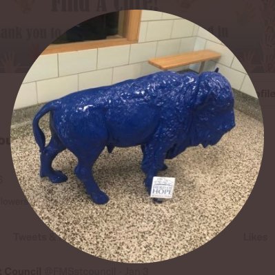 FMSstcouncil's profile picture. 