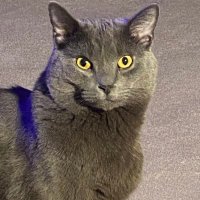 vicki davis (@vldavis123) 's Twitter Profile