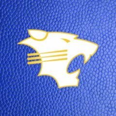 bethel_wildcats Profile Picture