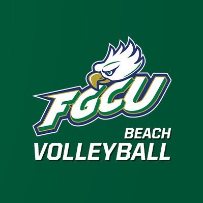 Official Twitter | #WingsUp 🤙🦅🏐