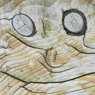 dg_lippe_ruhr's profile picture. 