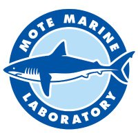 Mote Marine Laboratory & Aquarium(@MoteMarineLab) 's Twitter Profile Photo