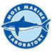 Mote Marine Laboratory & Aquarium (@MoteMarineLab) Twitter profile photo