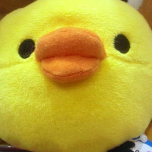 taosroom's profile picture. 