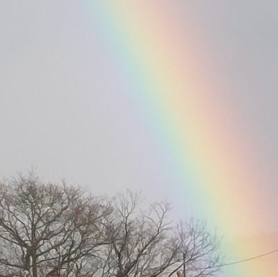 Cloukon's profile picture. 