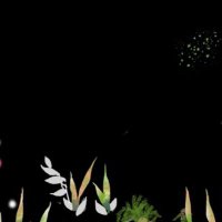 ْ (@mudi_mudi_) 's Twitter Profile Photo