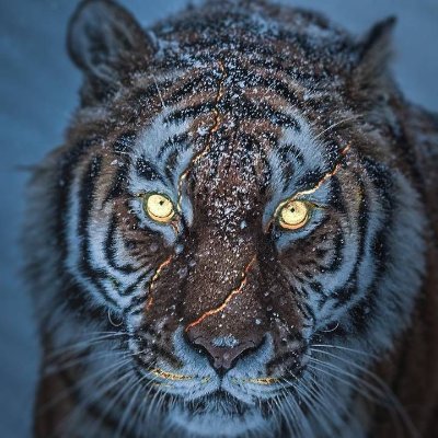 ThaneDattu's profile picture. Crypto all over
https://t.co/Rzz0qmIgAv