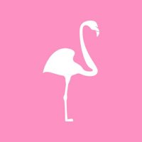 Flamingo Foot & Ankle(@flamingo_foot) 's Twitter Profile Photo