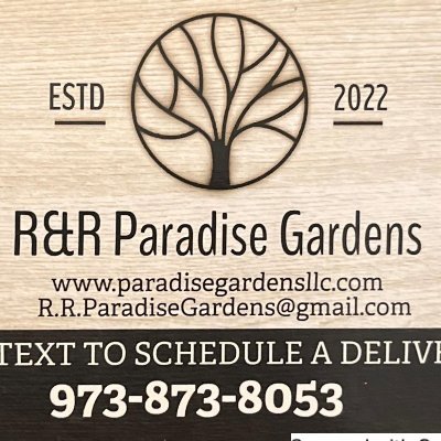 rrParadiseLLC's profile picture. 🌳Bringing privacy and beauty to your backyard with premium quality privacy trees. From hedges to screens, we've got your outdoor needs covered.🌳