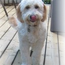 Tucker Hart - @harthrobhart - Twitter