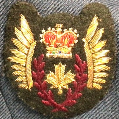 TriSvcsVet's profile picture. Retired military, ⚓️ 5 yrs 🛩 5 yrs ⚔13 yrs. Father/husband, political enthusiast, #cdnpoli #uspoli #onpoli #CFCooks #ChefLife👨‍🍳🚴