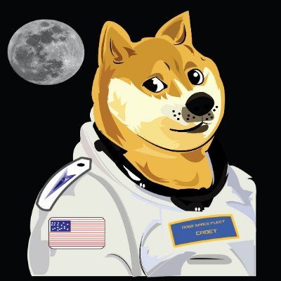 Join Doge Space Fleet Officers Club. Be a Ranking Officer in the Doge To The Moon Mission. Your DSF Officers Club NFT confirms your Exclusive Membership & Rank.