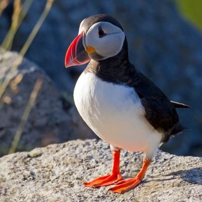 william_0529's profile picture. ゲーム好きだがゲーム永久に下手w

どこにも吐き出せないモヤモヤした事、ポロッと言いたい事をポロポロしてます 誰も見とらんからね(*´∀｀)ﾊﾊﾊ