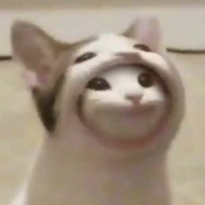 NinjaMinaさんのプロフィール画像