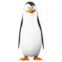 Crypto Kowalski (@cryptorad01) 's Twitter Profile